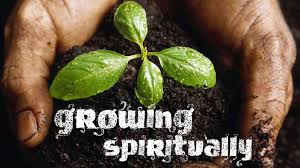 Nurturing the Journey: Growing Spiritually with Purpose and Presence