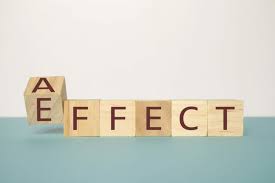 The Ripple Effect: Understanding How Actions Impact Our World