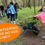 volunteer opportunities near me