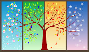 Seasons of Change: Embracing the Beauty of Transformation