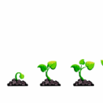 grow