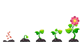 Nurturing Growth: Cultivating Potential and Embracing Change