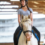 horse riding camps near me