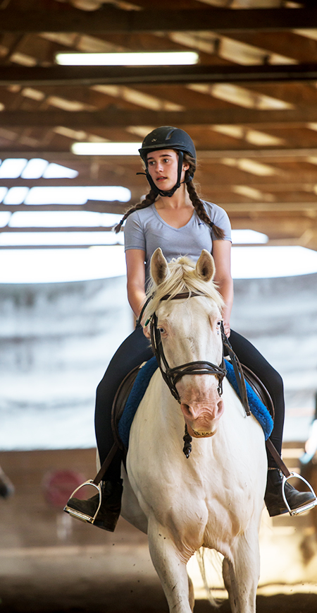 Explore Exciting Horse Riding Camps Near Me for an Unforgettable Summer Adventure