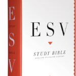 good study bible