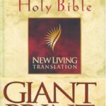 new english translation bible