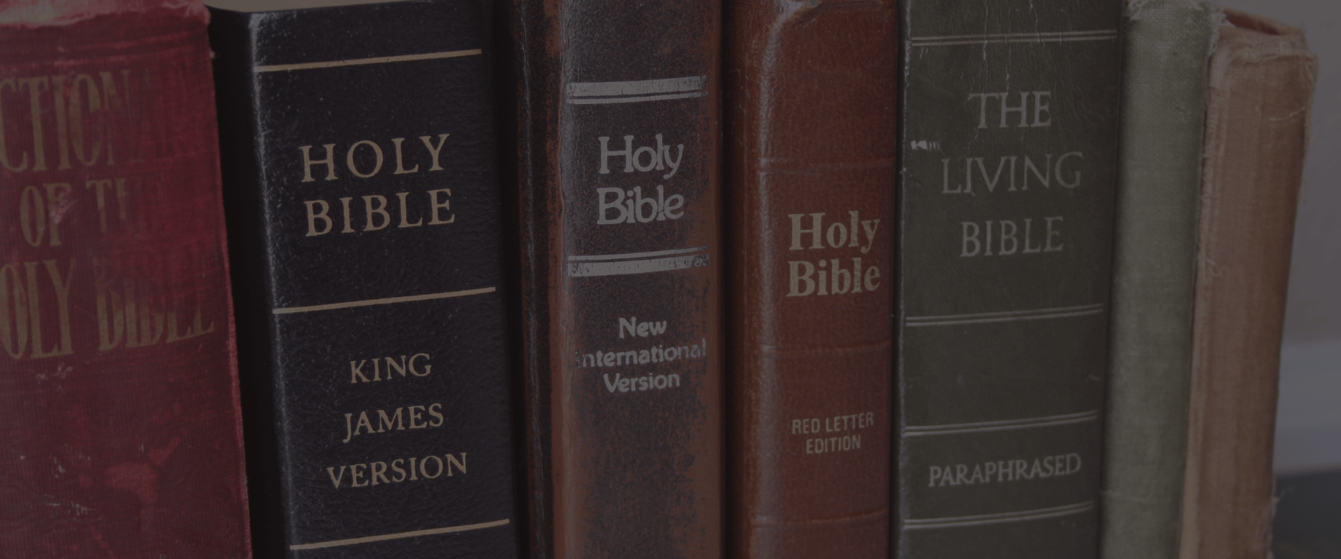 Unveiling the Best Study Bible Options for Enlightened Understanding