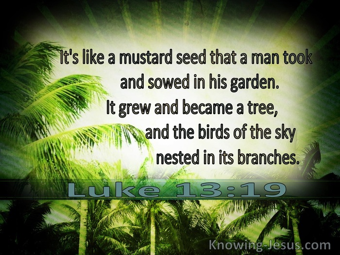 Bible Scripture on Growth: Verses for Growing in Faith, Wisdom, and Love