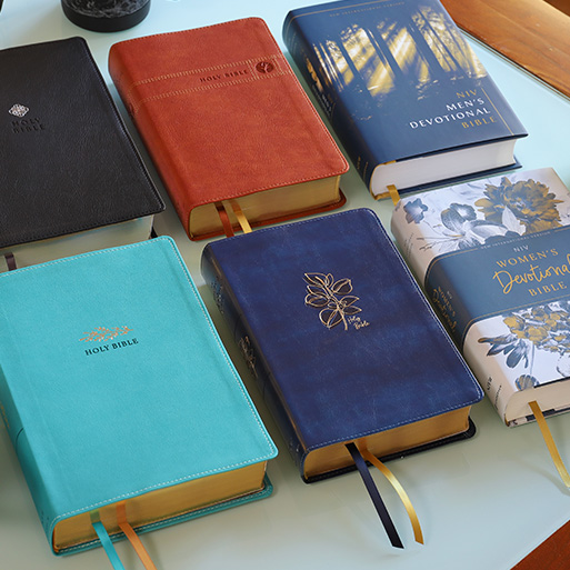 Devotional Bible: A Guide to Daily Scripture Reading and Reflection
